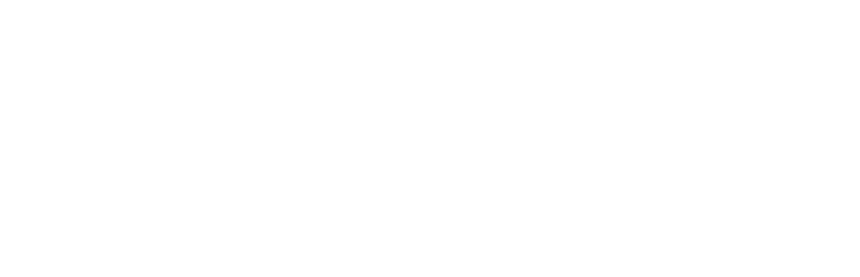 BOURDELAIS LOGO